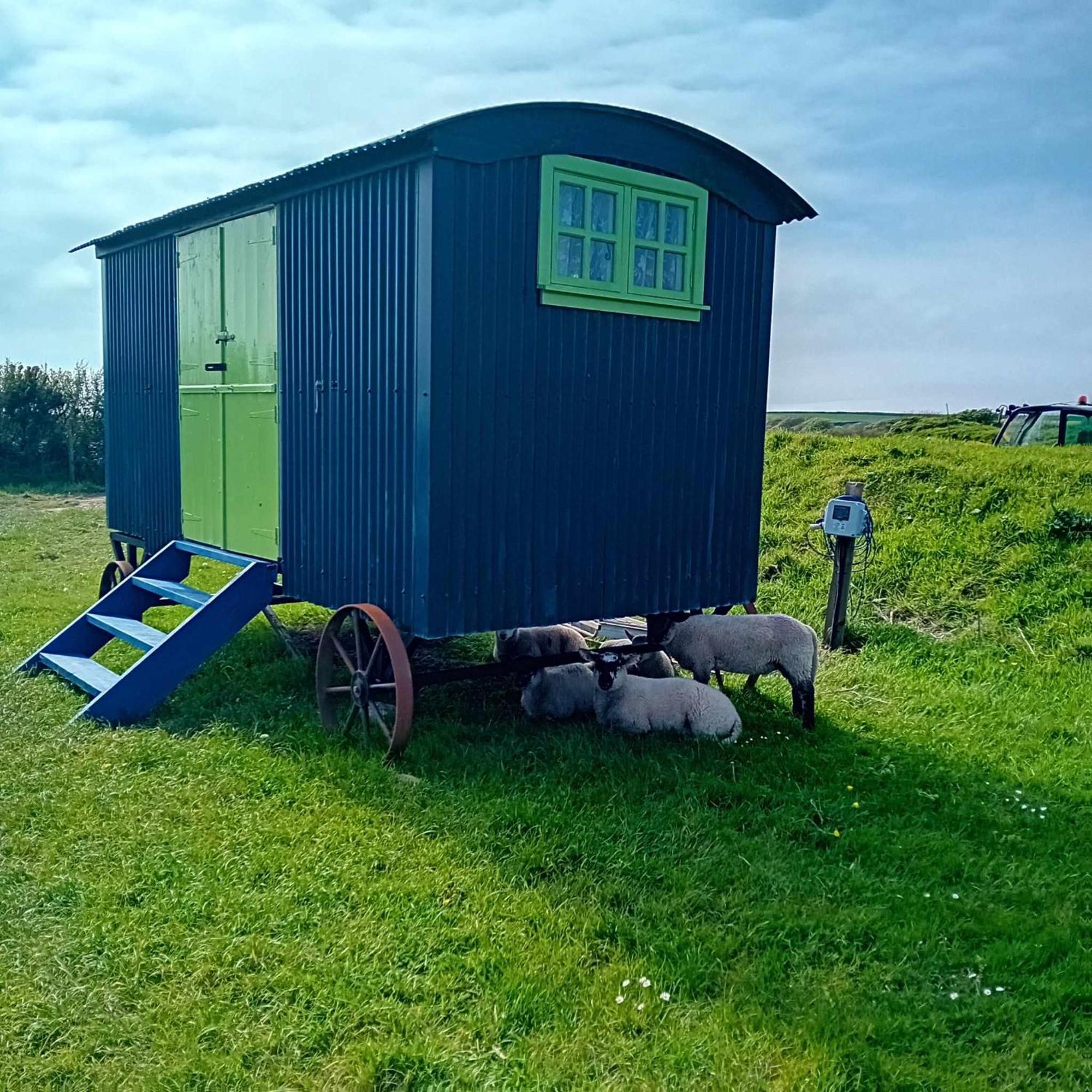Coast Path Camping Saint Ishmaels  外观 照片