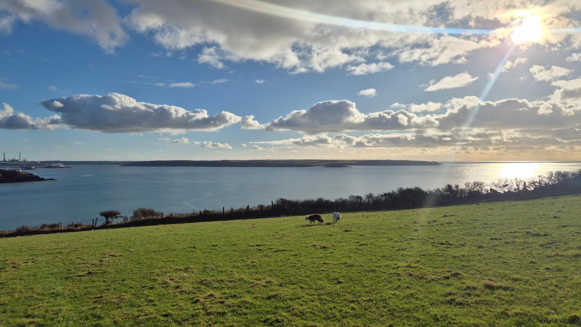 Coast Path Camping Saint Ishmaels  外观 照片